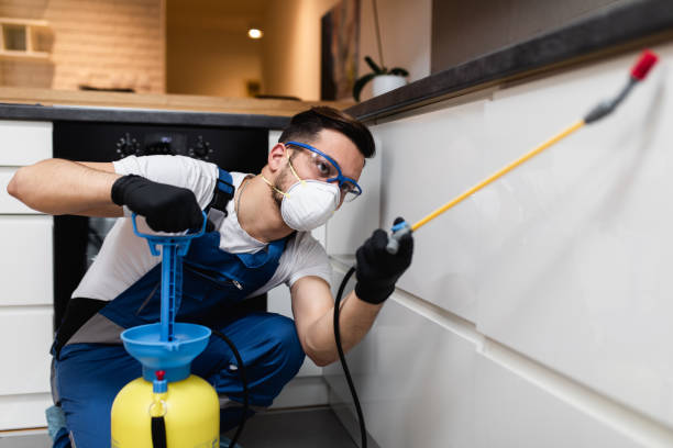Professional Pest Control in Moraine, OH