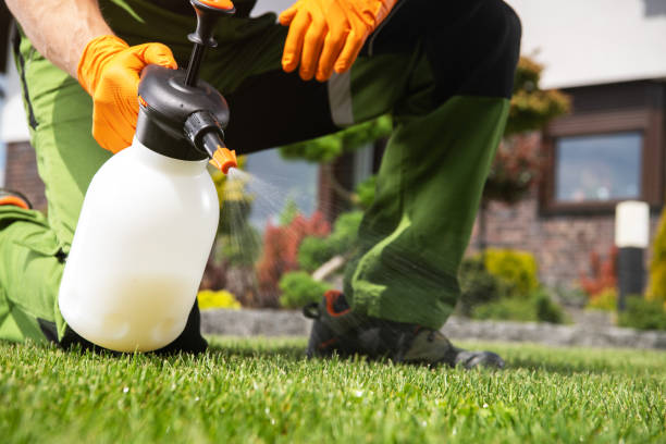 Best Commercial Pest Control Services  in Moraine, OH