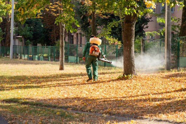 Wasp Removal Services in Moraine, OH