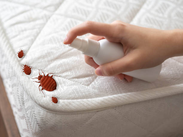 Best Wasp Removal Services  in Moraine, OH