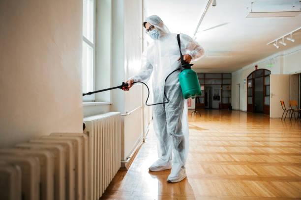Best Affordable Pest Control Services  in Moraine, OH