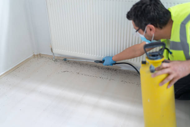 Best Local Pest Control Services  in Moraine, OH