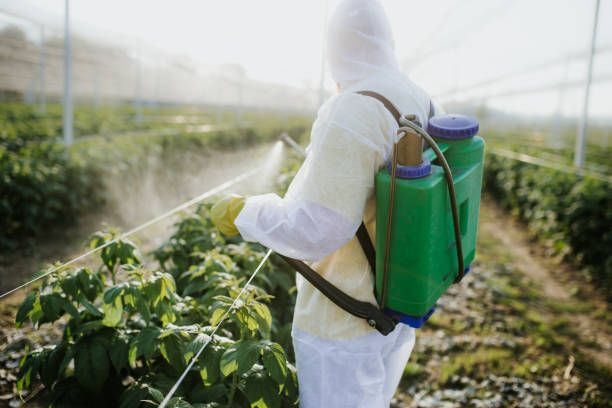 Best Emergency Pest Control  in Moraine, OH